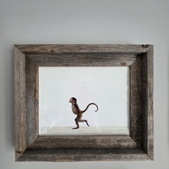 Restoration Hardware Rare Nursery Baby Animals - Picture 3 of 11